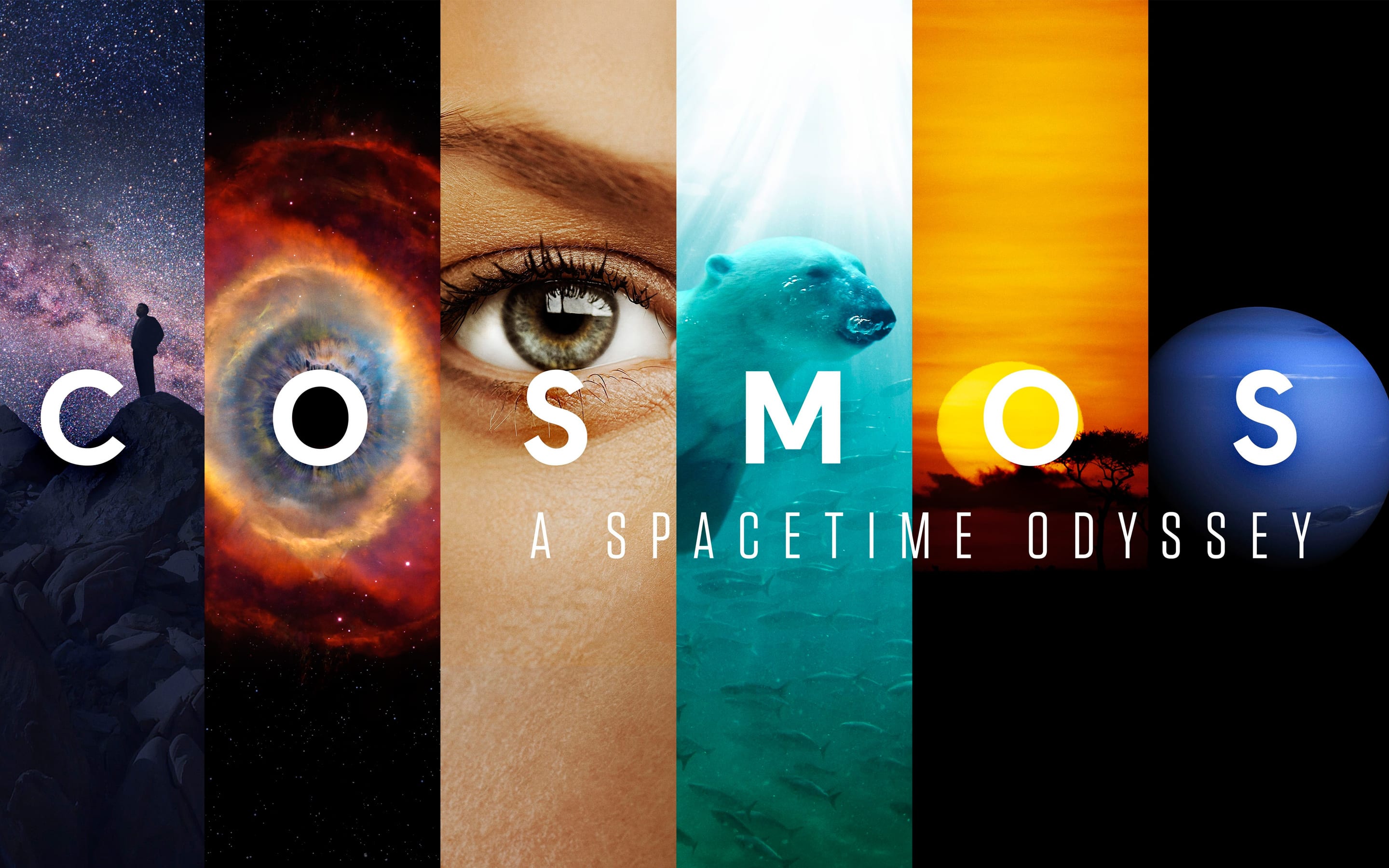 cosmos a spacetime odyssey episode 14